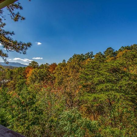 Ladybug Resort Romantic Cabin With Mountain Views, Game Room, Close To Dollywood Sevierville Exterior photo